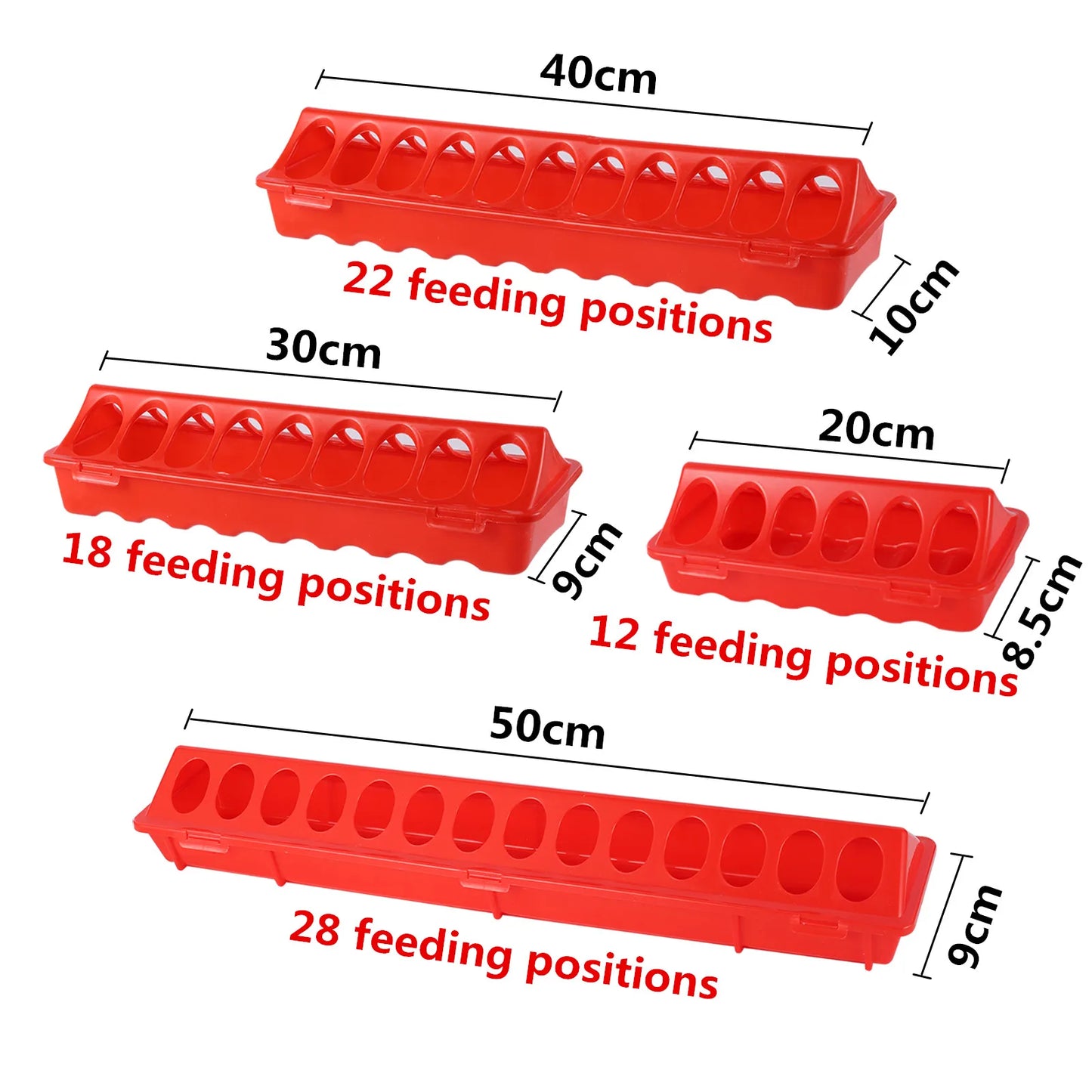 Mangeoire à Volaille en Plastique – Double Rangée – 20 à 50 cm – 12 à 28 Trous – Pour Poules, Poussins et Volailles